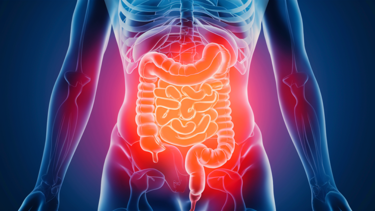Biotics 8 — microbiote masculin
